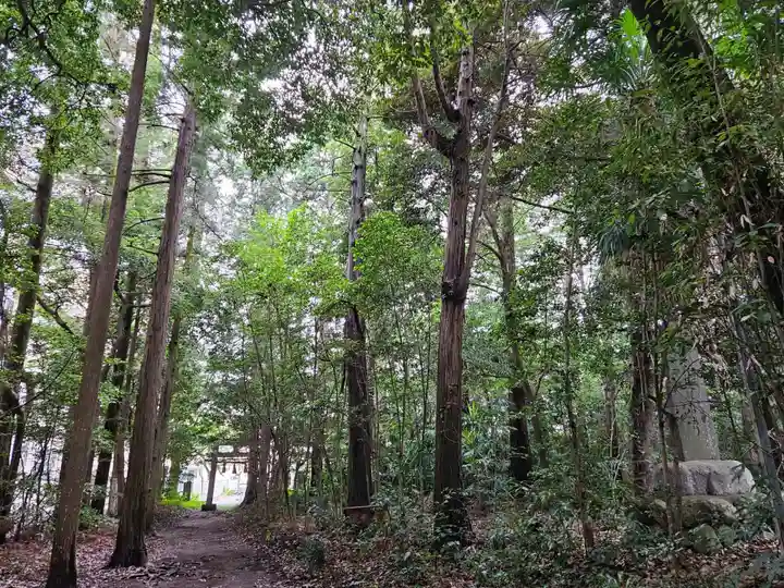 三ケ尻八幡神社(埼玉県)
