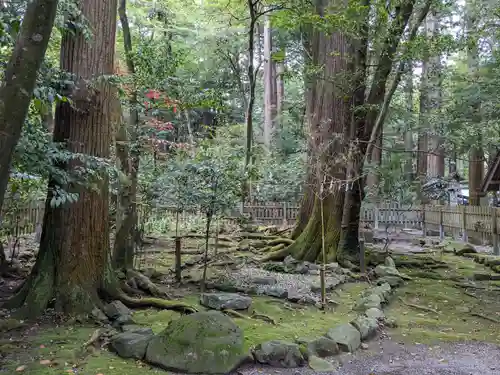 椿大神社(三重県)