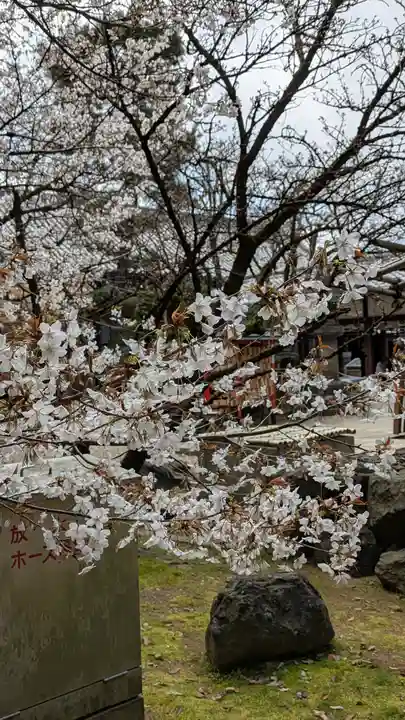 御香宮神社(京都府)