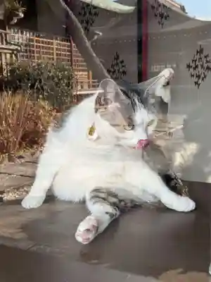 本郷氷川神社(東京都)