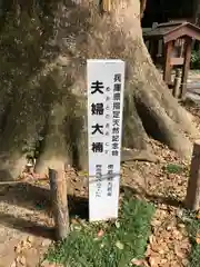 伊弉諾神宮の自然