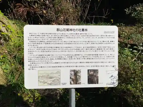 花尾神社の建物その他