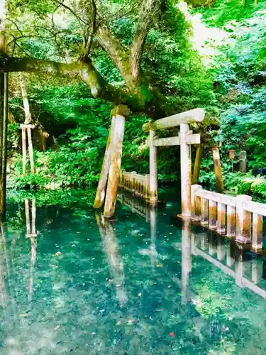 鹿島神宮(茨城県)