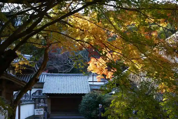 大照院(山口県)