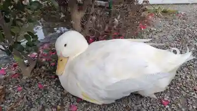 神泉苑(京都府)