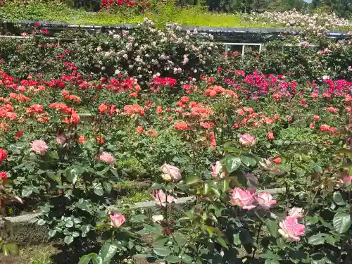 霊山寺(奈良県)