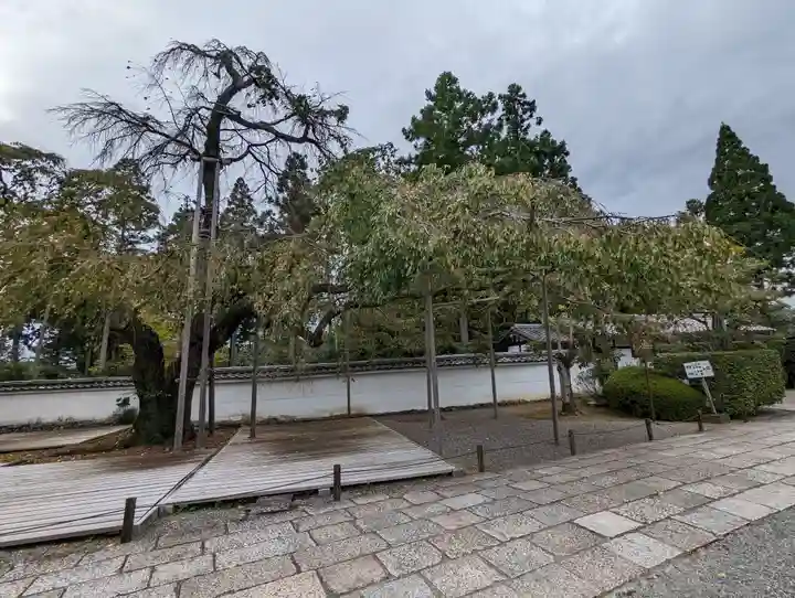 三宝院(三宝院門跡)(京都府)