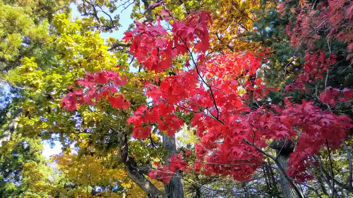 開拓神社の自然