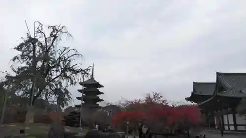 東寺（教王護国寺）の塔