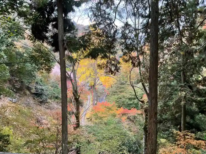 秩父札所三十二番 法性寺(埼玉県)