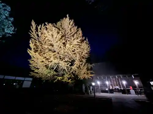 小平神明宮(東京都)