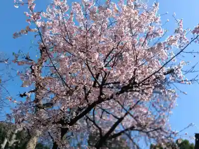 五條天神社の{uncategorized: "未分類", other: "その他", undefined: "問題あり", building: "その他建物", grave: "お墓", sacred_gate: "鳥居", guardian: "狛犬", statue: "像", buddha: "仏像", history: "歴史", nature: "自然", garden: "庭園", animal: "動物", pagoda: "塔", temizu: "手水舎", mountain_gate: "山門・神門", sanctuary: "本殿・本堂", subordinate: "末社・摂社", art: "芸術", scenery: "景色", jizo: "地蔵", ema: "絵馬", goshuin: "御朱印", omikuji: "おみくじ", items: "授与品その他", amulet: "お守り", goshuincho: "御朱印帳", eats: "食事", festival: "お祭り", votive_dance: "神楽", shichigosan: "七五三参", wedding: "結婚式", experience: "体験その他", initially: "初詣", around: "周辺", anti_infection: "感染症対策"}