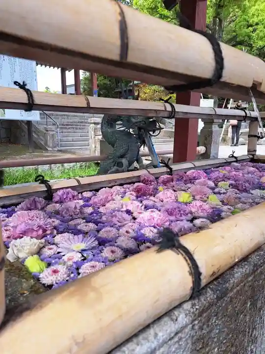 津島神社(愛知県)