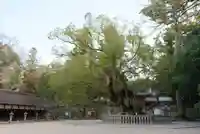 大山祇神社のその他建物