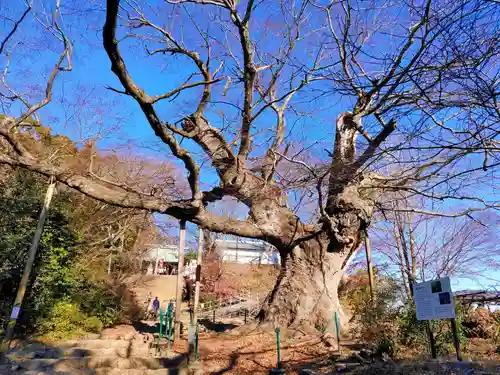 新田神社(群馬県)