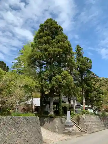 妙久寺の景色