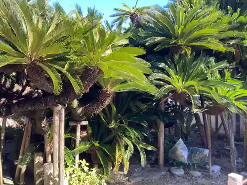 能満寺(静岡県)