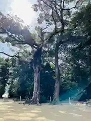 浮嶋神社の自然