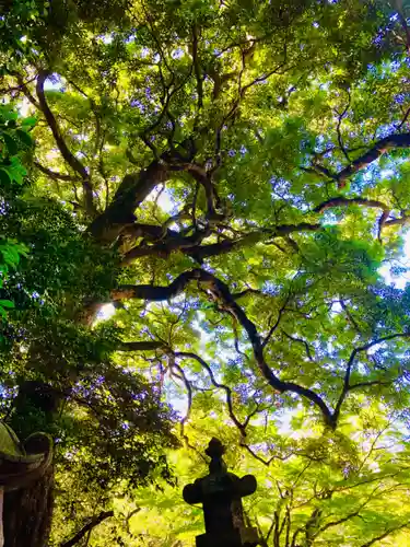 香取神宮(千葉県)