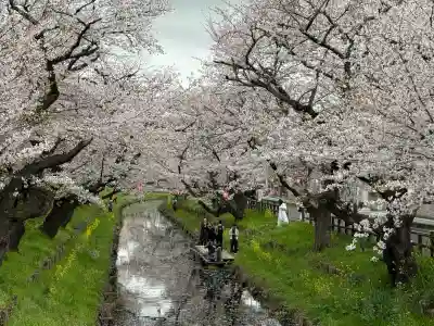 川越氷川神社の{uncategorized: "未分類", other: "その他", undefined: "問題あり", building: "その他建物", grave: "お墓", sacred_gate: "鳥居", guardian: "狛犬", statue: "像", buddha: "仏像", history: "歴史", nature: "自然", garden: "庭園", animal: "動物", pagoda: "塔", temizu: "手水舎", mountain_gate: "山門・神門", sanctuary: "本殿・本堂", subordinate: "末社・摂社", art: "芸術", scenery: "景色", jizo: "地蔵", ema: "絵馬", goshuin: "御朱印", omikuji: "おみくじ", items: "授与品その他", amulet: "お守り", goshuincho: "御朱印帳", eats: "食事", festival: "お祭り", votive_dance: "神楽", shichigosan: "七五三参", wedding: "結婚式", experience: "体験その他", initially: "初詣", around: "周辺", anti_infection: "感染症対策"}