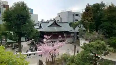 鳩森八幡神社の{uncategorized: "未分類", other: "その他", undefined: "問題あり", building: "その他建物", grave: "お墓", sacred_gate: "鳥居", guardian: "狛犬", statue: "像", buddha: "仏像", history: "歴史", nature: "自然", garden: "庭園", animal: "動物", pagoda: "塔", temizu: "手水舎", mountain_gate: "山門・神門", sanctuary: "本殿・本堂", subordinate: "末社・摂社", art: "芸術", scenery: "景色", jizo: "地蔵", ema: "絵馬", goshuin: "御朱印", omikuji: "おみくじ", items: "授与品その他", amulet: "お守り", goshuincho: "御朱印帳", eats: "食事", festival: "お祭り", votive_dance: "神楽", shichigosan: "七五三参", wedding: "結婚式", experience: "体験その他", initially: "初詣", around: "周辺", anti_infection: "感染症対策"}