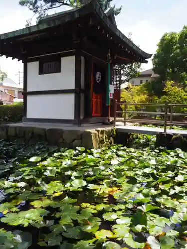 喜光寺の本殿