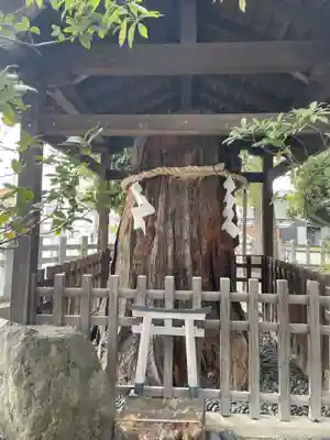 （上桂）御霊神社(京都府)