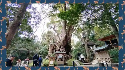 來宮神社(静岡県)