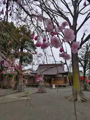 相模原氷川神社(神奈川県)