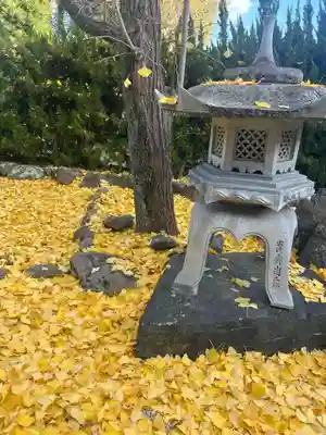 一乗院(和歌山県)