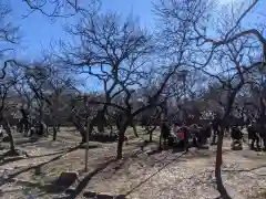 谷保天満宮の庭園