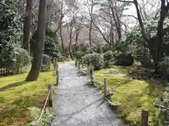 龍安寺の庭園