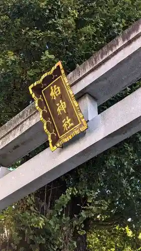 柏神社の建物その他