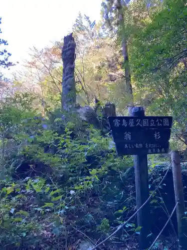 木魂神社(鹿児島県)