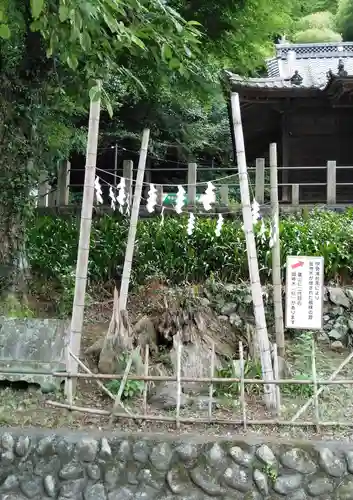 高尾山麓氷川神社の自然