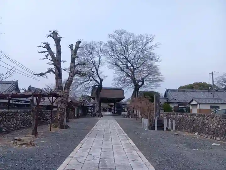 曼陀羅寺(愛知県)