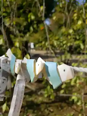 鳩森八幡神社のおみくじ