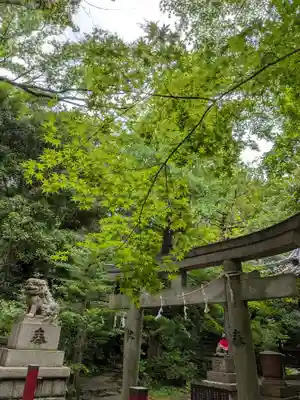 赤坂氷川神社(東京都)