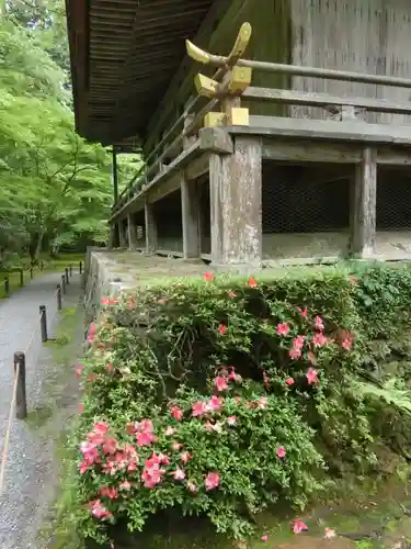 三千院門跡のその他建物
