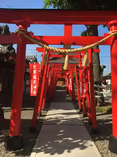 於菊稲荷神社の鳥居