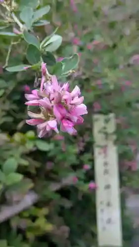 梨木神社(京都府)
