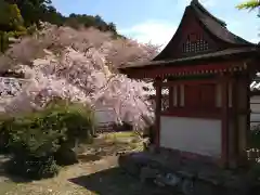 金剛寺(大阪府)