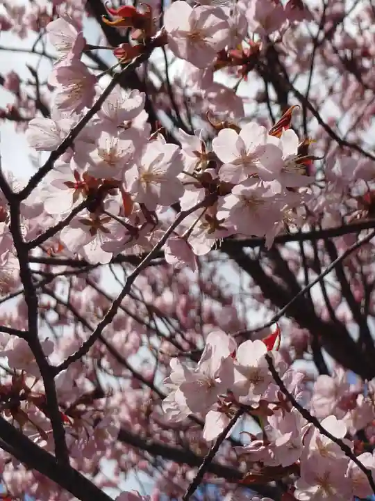 相馬神社(北海道)