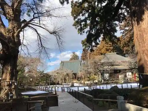 六地蔵寺の庭園