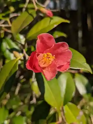 城南宮(京都府)