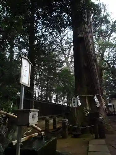 一言主神社の自然