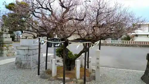 天神神社（柳津天神神社）の庭園