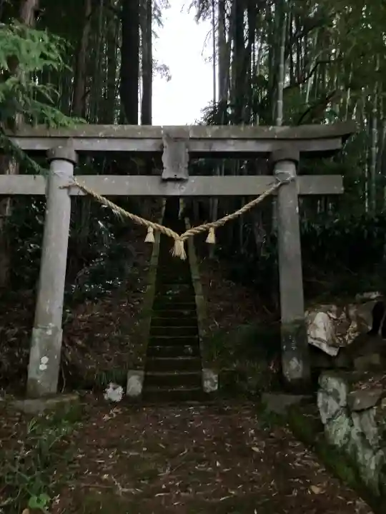 十二所神社の{uncategorized: "未分類", other: "その他", undefined: "問題あり", building: "その他建物", grave: "お墓", sacred_gate: "鳥居", guardian: "狛犬", statue: "像", buddha: "仏像", history: "歴史", nature: "自然", garden: "庭園", animal: "動物", pagoda: "塔", temizu: "手水舎", mountain_gate: "山門・神門", sanctuary: "本殿・本堂", subordinate: "末社・摂社", art: "芸術", scenery: "景色", jizo: "地蔵", ema: "絵馬", goshuin: "御朱印", omikuji: "おみくじ", items: "授与品その他", amulet: "お守り", goshuincho: "御朱印帳", eats: "食事", festival: "お祭り", votive_dance: "神楽", shichigosan: "七五三参", wedding: "結婚式", experience: "体験その他", initially: "初詣", around: "周辺", anti_infection: "感染症対策"}