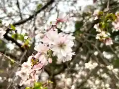 世良田東照宮(群馬県)