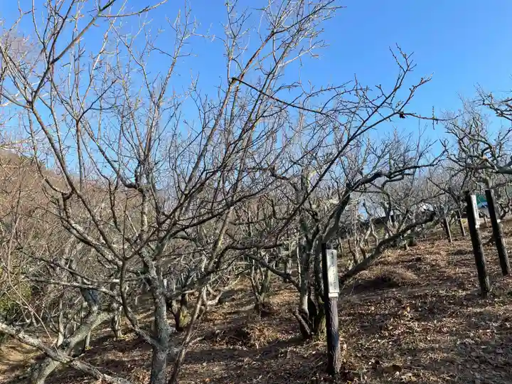 旗振毘沙門堂(兵庫県)
